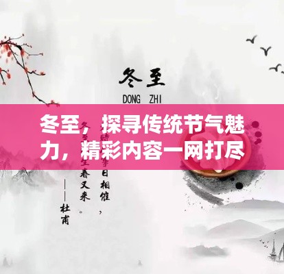 冬至，探寻传统节气魅力，精彩内容一网打尽！