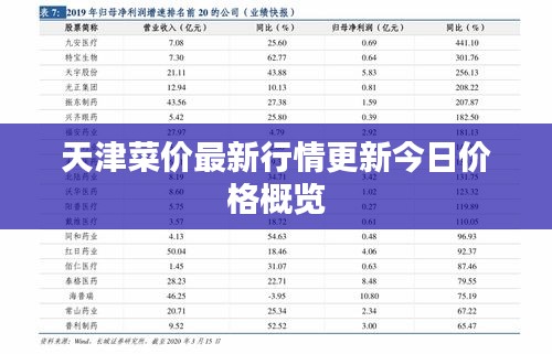 天津菜价最新行情更新今日价格概览