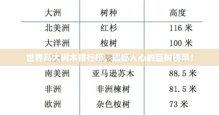 世界高大树木排行榜，震撼人心的巨树榜单！