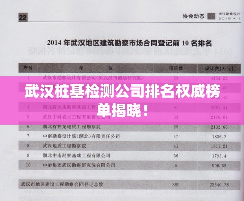 武汉桩基检测公司排名权威榜单揭晓！