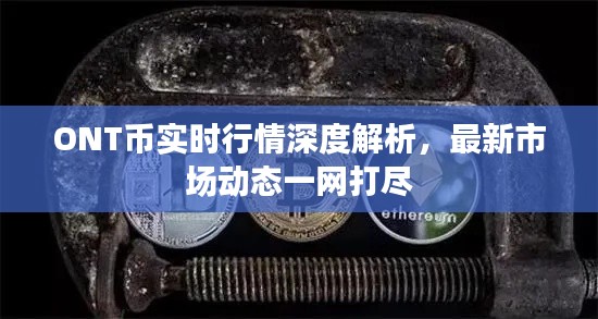 ONT币实时行情深度解析，最新市场动态一网打尽