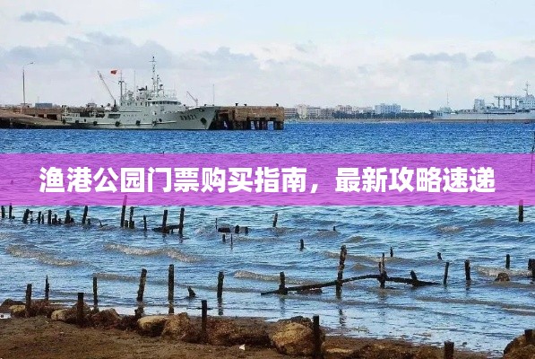 渔港公园门票购买指南，最新攻略速递