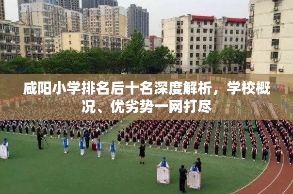 咸阳小学排名后十名深度解析，学校概况、优劣势一网打尽