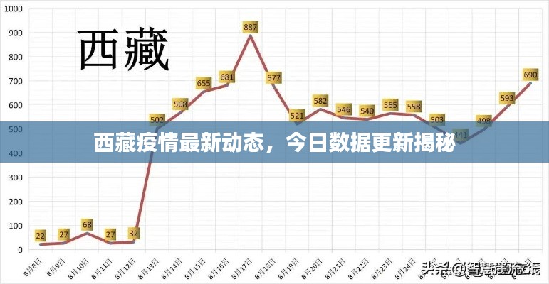 西藏疫情最新动态，今日数据更新揭秘