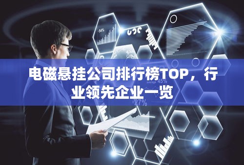 电磁悬挂公司排行榜TOP，行业领先企业一览