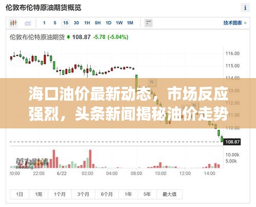 海口油价最新动态，市场反应强烈，头条新闻揭秘油价走势