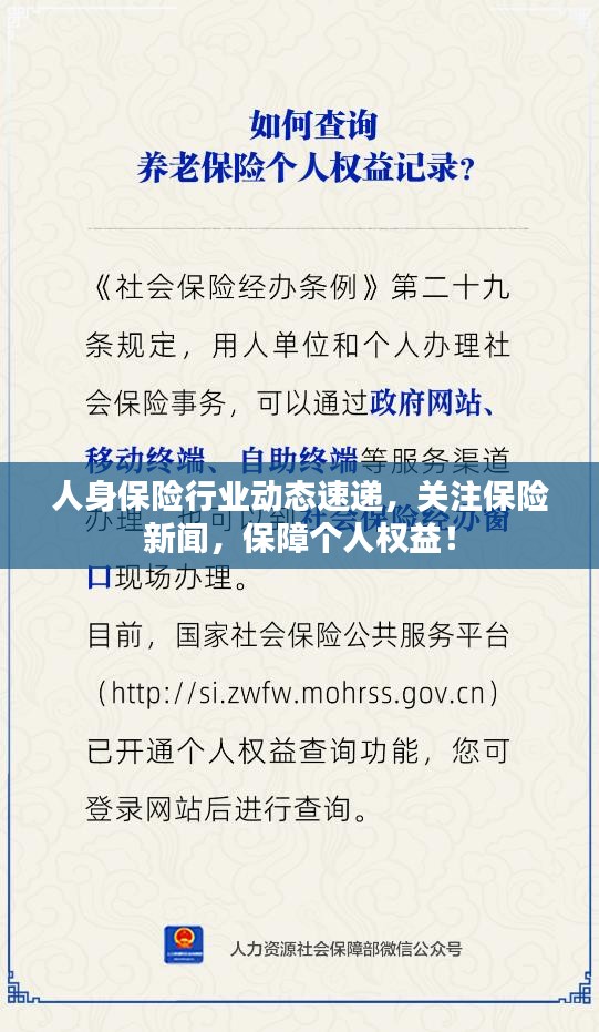 人身保险行业动态速递，关注保险新闻，保障个人权益！