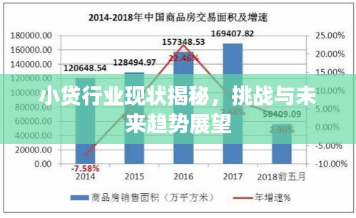 小贷行业现状揭秘，挑战与未来趋势展望