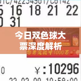 今日双色球大票深度解析