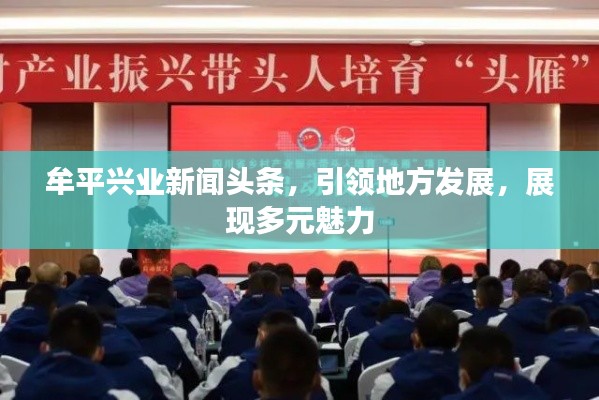 牟平兴业新闻头条，引领地方发展，展现多元魅力