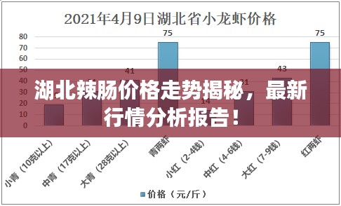 湖北辣肠价格走势揭秘，最新行情分析报告！