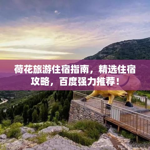 荷花旅游住宿指南，精选住宿攻略，百度强力推荐！