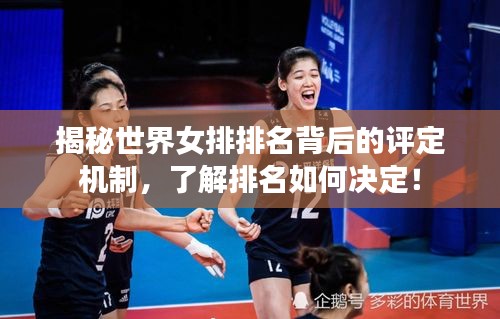揭秘世界女排排名背后的评定机制，了解排名如何决定！