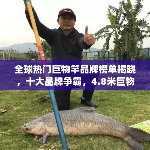 全球热门巨物竿品牌榜单揭晓，十大品牌争霸，4.8米巨物竿荣登前十名
