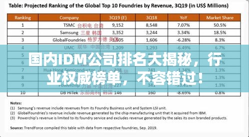 国内IDM公司排名大揭秘，行业权威榜单，不容错过！
