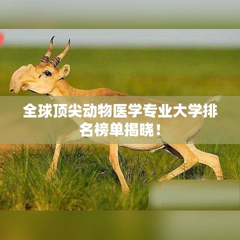 全球顶尖动物医学专业大学排名榜单揭晓！