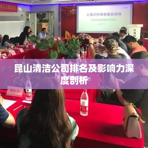 昆山清洁公司排名及影响力深度剖析