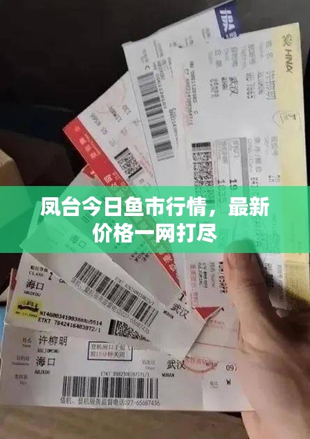 凤台今日鱼市行情，最新价格一网打尽