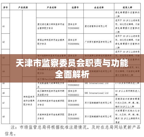 天津市监察委员会职责与功能全面解析