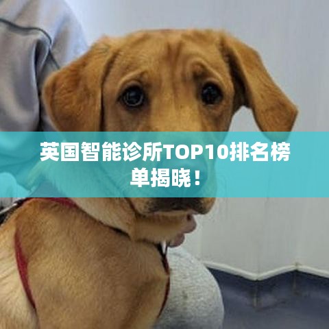 英国智能诊所TOP10排名榜单揭晓！