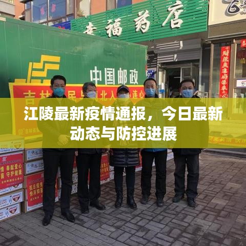 江陵最新疫情通报，今日最新动态与防控进展
