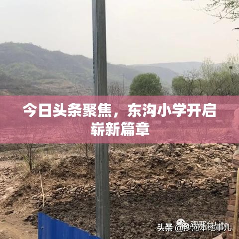 今日头条聚焦，东沟小学开启崭新篇章