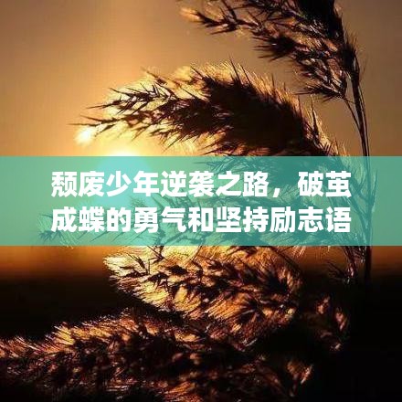 颓废少年逆袭之路，破茧成蝶的勇气和坚持励志语录