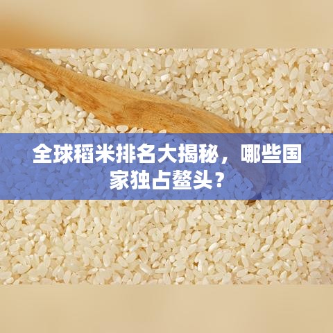 全球稻米排名大揭秘，哪些国家独占鳌头？