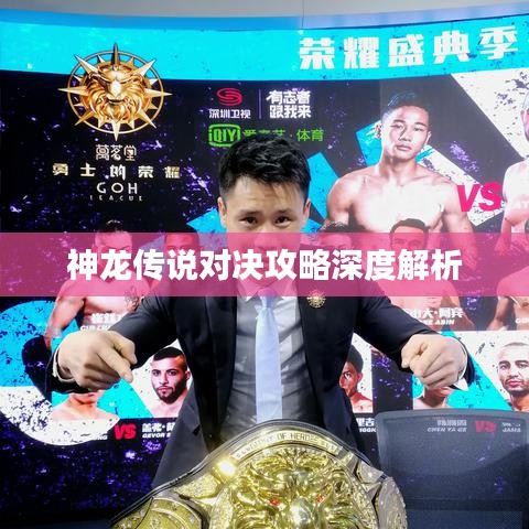 神龙传说对决攻略深度解析