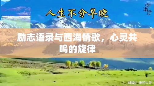 励志语录与西海情歌，心灵共鸣的旋律