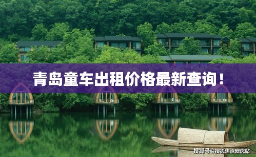 青岛童车出租价格最新查询！