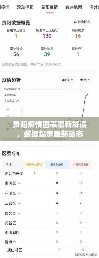 贵阳疫情图表最新解读，数据揭示最新动态