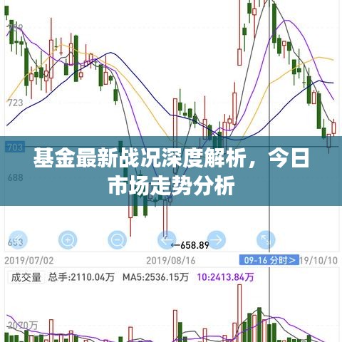 基金最新战况深度解析，今日市场走势分析