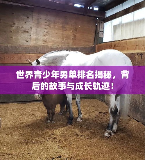世界青少年男单排名揭秘，背后的故事与成长轨迹！