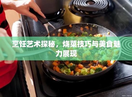 烹饪艺术探秘，烧菜技巧与美食魅力展现