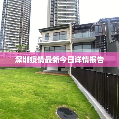 深圳疫情最新今日详情报告