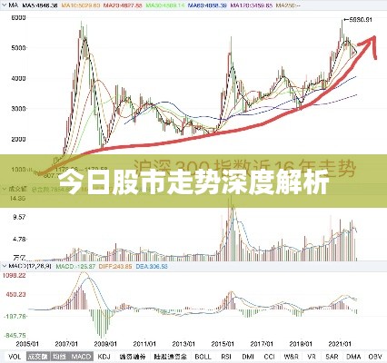 今日股市走势深度解析