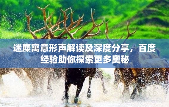 迷麋寓意形声解读及深度分享，百度经验助你探索更多奥秘