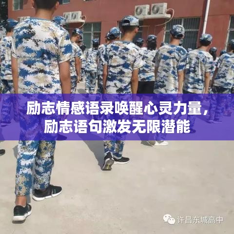 励志情感语录唤醒心灵力量，励志语句激发无限潜能