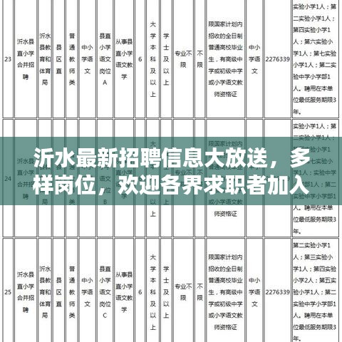 沂水最新招聘信息大放送，多样岗位，欢迎各界求职者加入，年龄至55岁