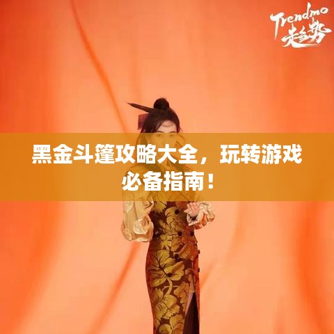 黑金斗篷攻略大全，玩转游戏必备指南！