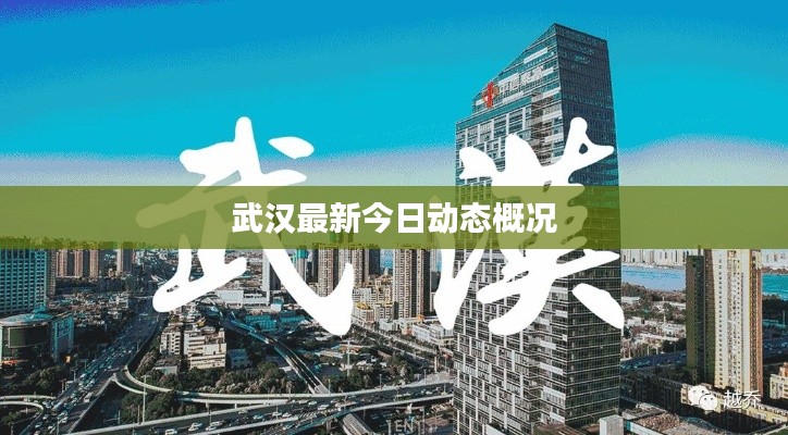 武汉最新今日动态概况