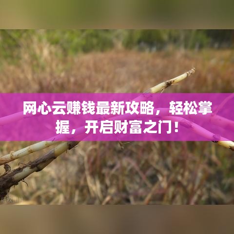 钝学累功