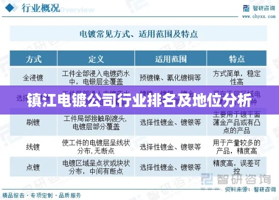 镇江电镀公司行业排名及地位分析