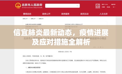 信宜肺炎最新动态，疫情进展及应对措施全解析