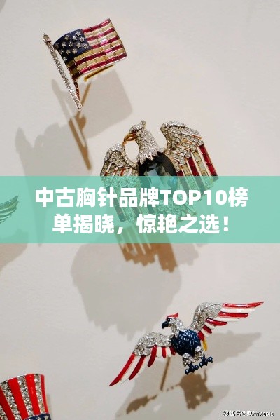 中古胸针品牌TOP10榜单揭晓，惊艳之选！
