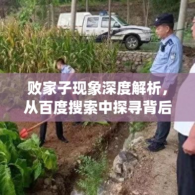 败家子现象深度解析，从百度搜索中探寻背后的故事