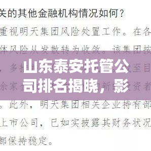 山东泰安托管公司排名揭晓，影响力深度剖析