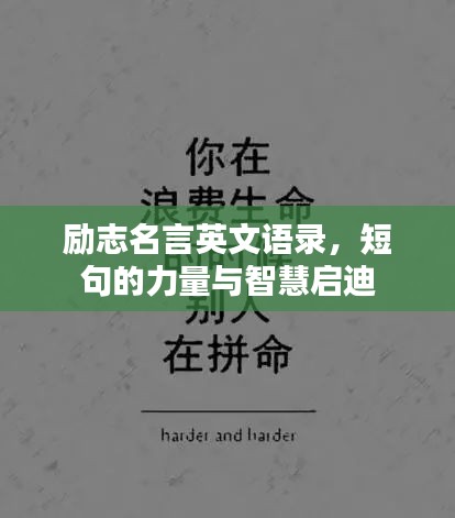 攀高接贵