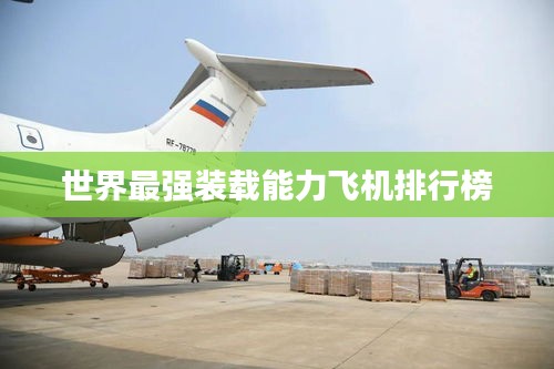 张张屈屈